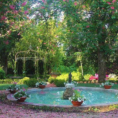 La Striscia Wine Resort 아레초 외부 사진