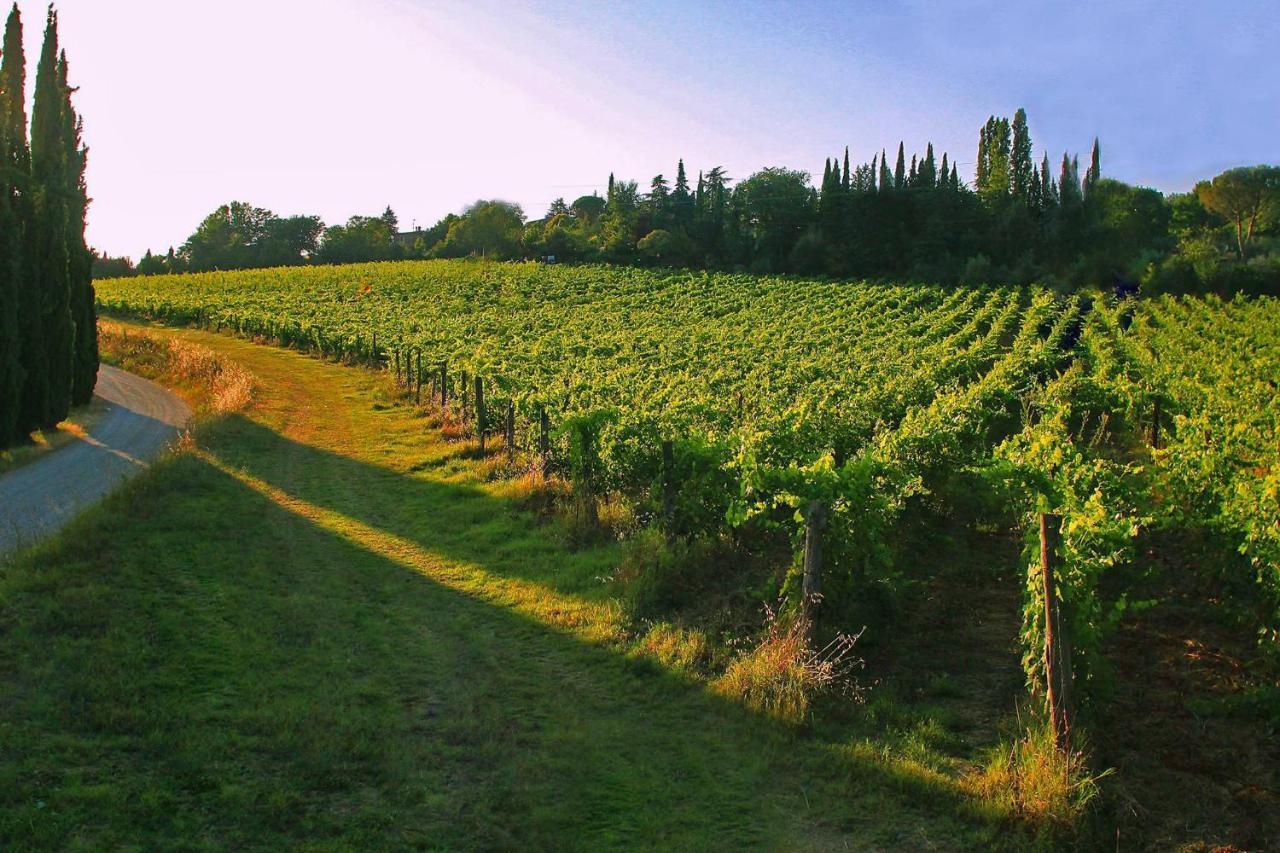 La Striscia Wine Resort 아레초 외부 사진